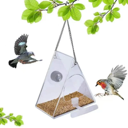 Smart Bird Feeder with Camera