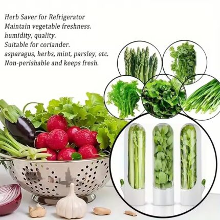Herb Saver Storage Container Fresh Herb Keeper Vanilla Vegetables Fresh Preservation Bottle For Refrigerator Kitchen