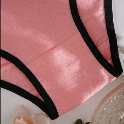 Low Rise Ladies Sexy Lace Panty Underpants