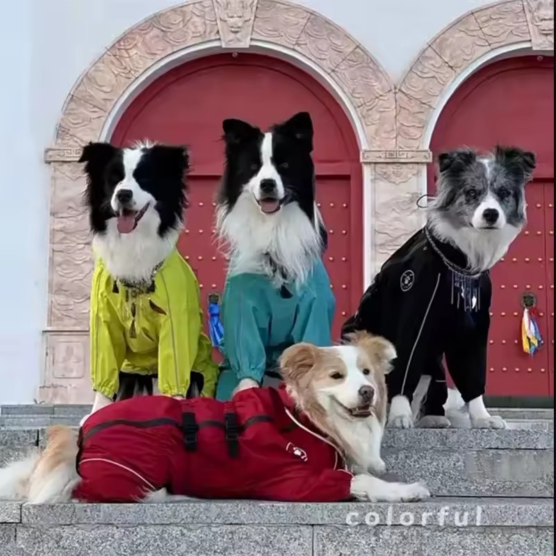 Full-Body Hooded Dog Raincoat – Waterproof Adjustable Pet Jumpsuit for Outdoor Walks