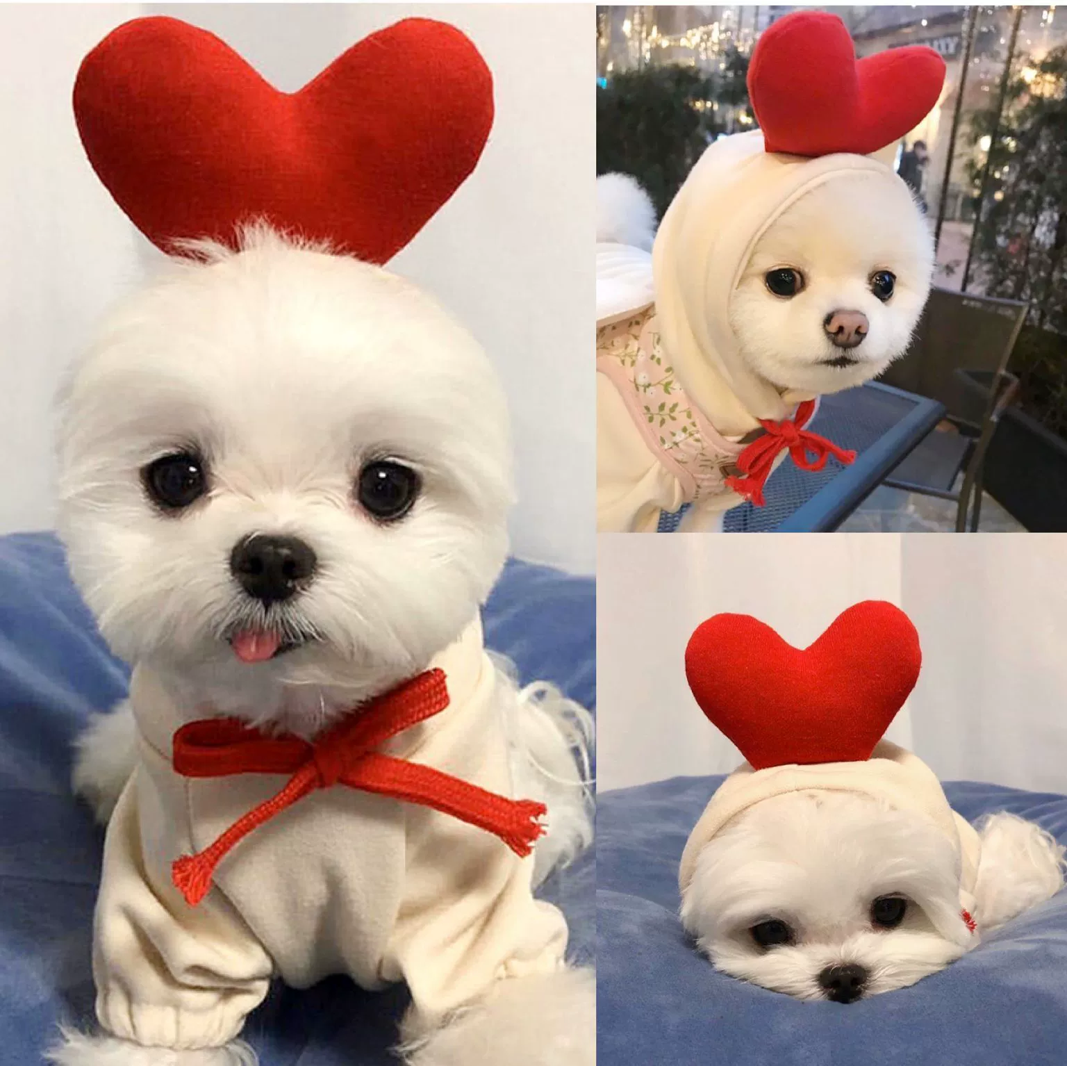 Cute Pet Hooded Costume Onesies