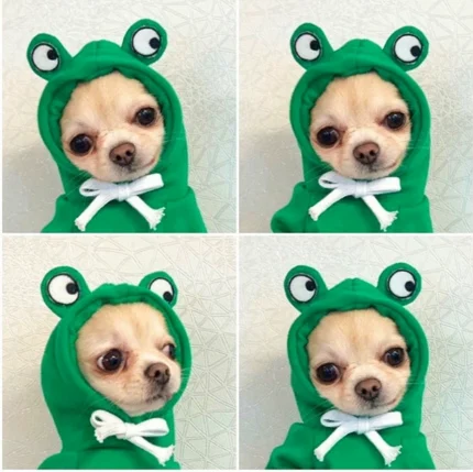 Cute Pet Hooded Costume Onesies