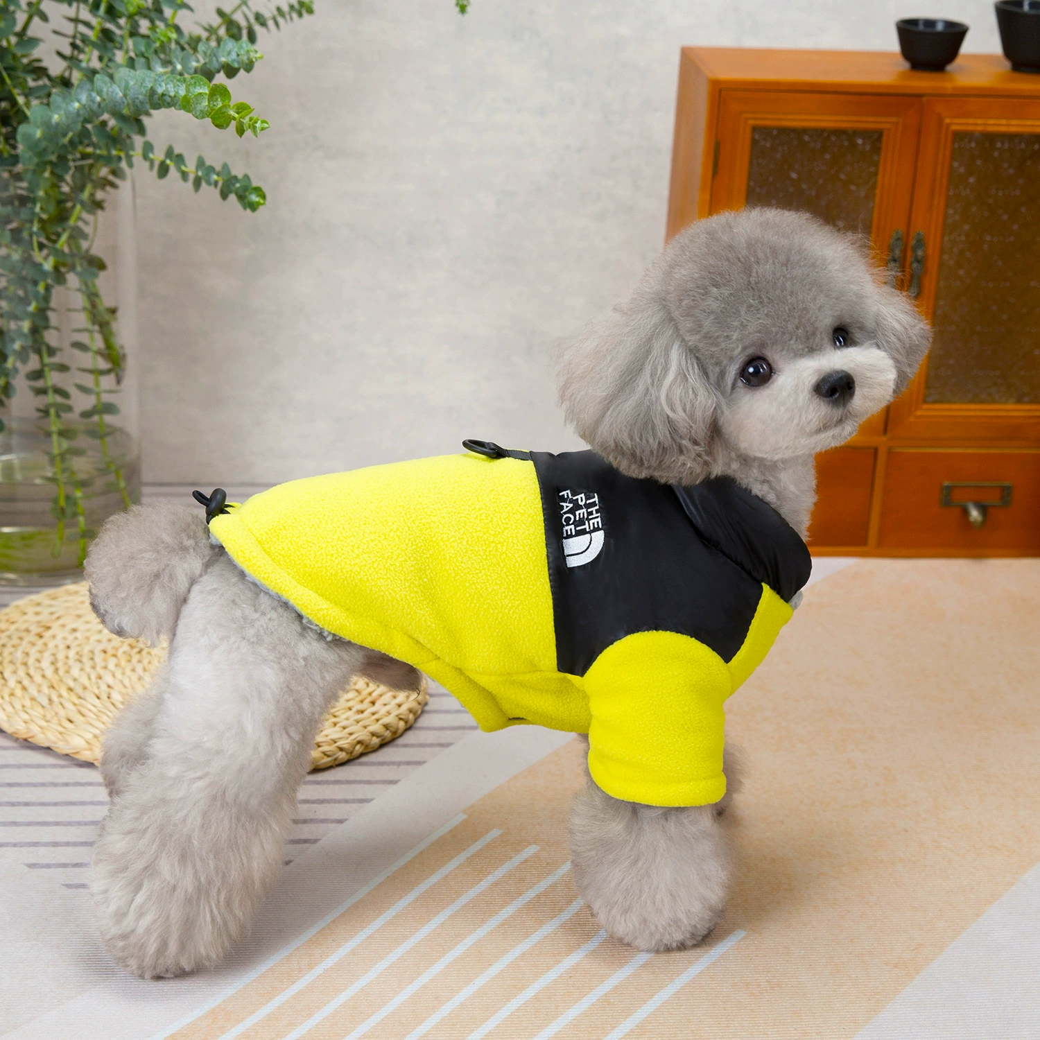 Sporty Sleeveless Dog Vest – Lightweight Pet Shirt for Small & Medium Dogs