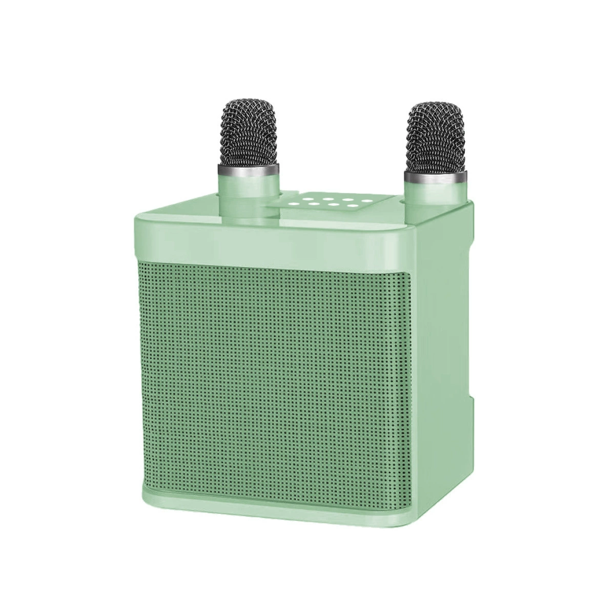 Dual Microphone Portable Karaoke Machine