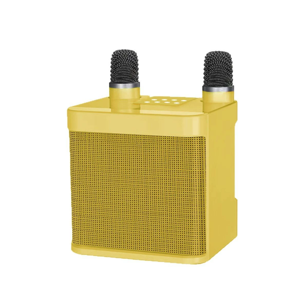 Dual Microphone Portable Karaoke Machine