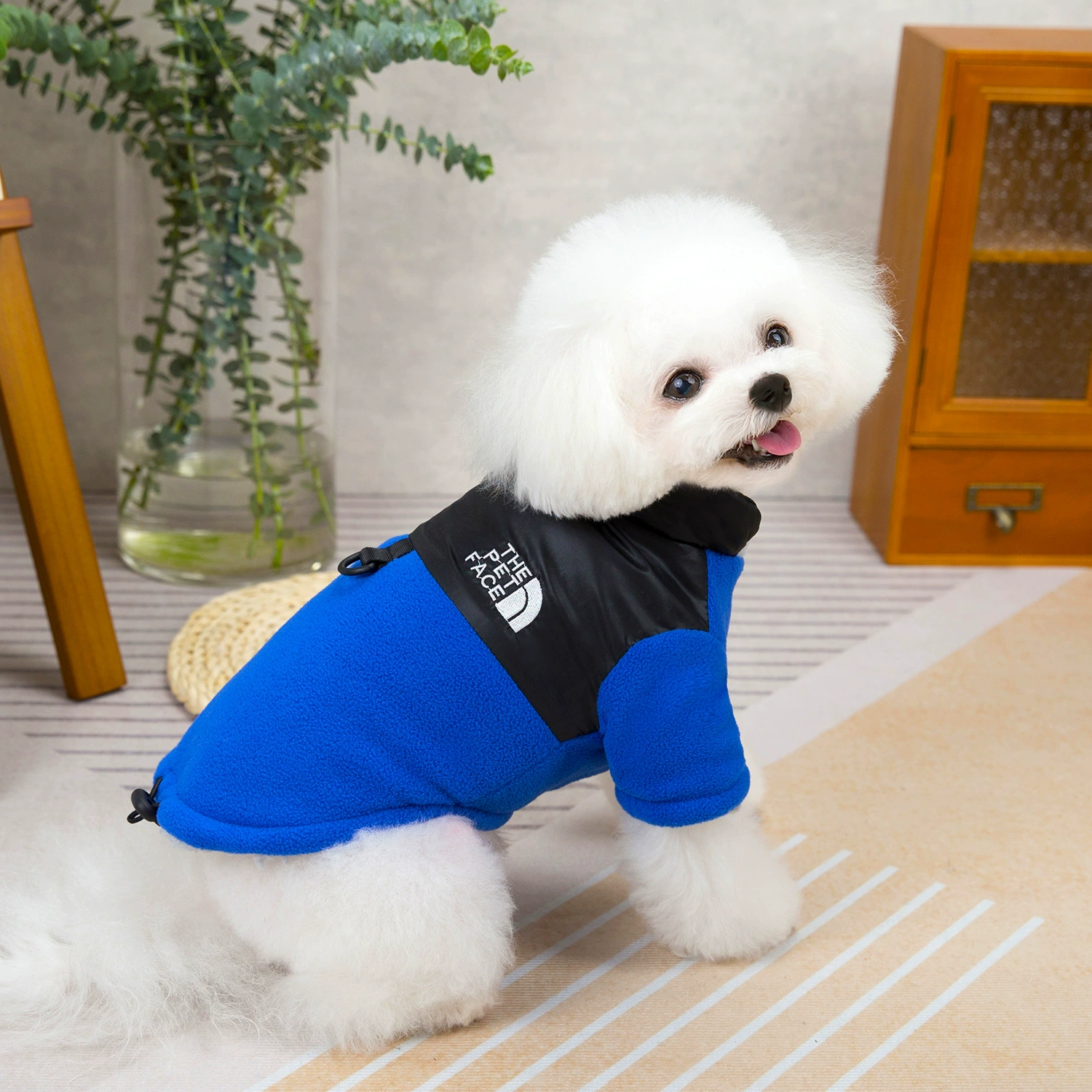 Sporty Sleeveless Dog Vest – Lightweight Pet Shirt for Small & Medium Dogs