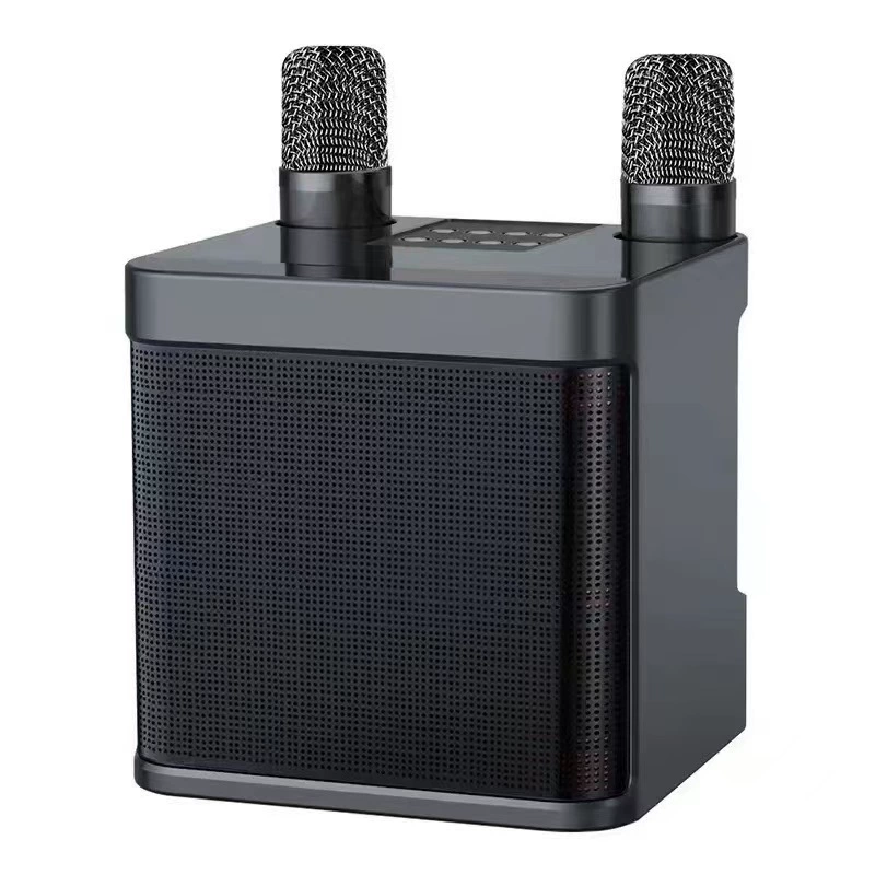 Dual Microphone Portable Karaoke Machine