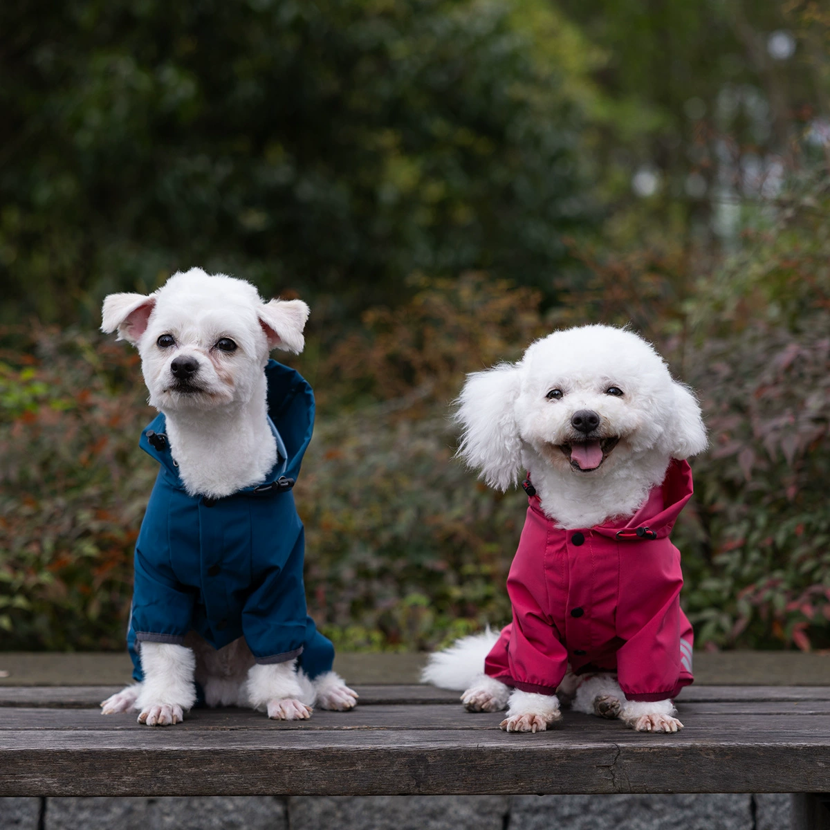 Hooded Waterproof Dog Raincoat – Adjustable Reflective Pet Jacket for Outdoor Walks