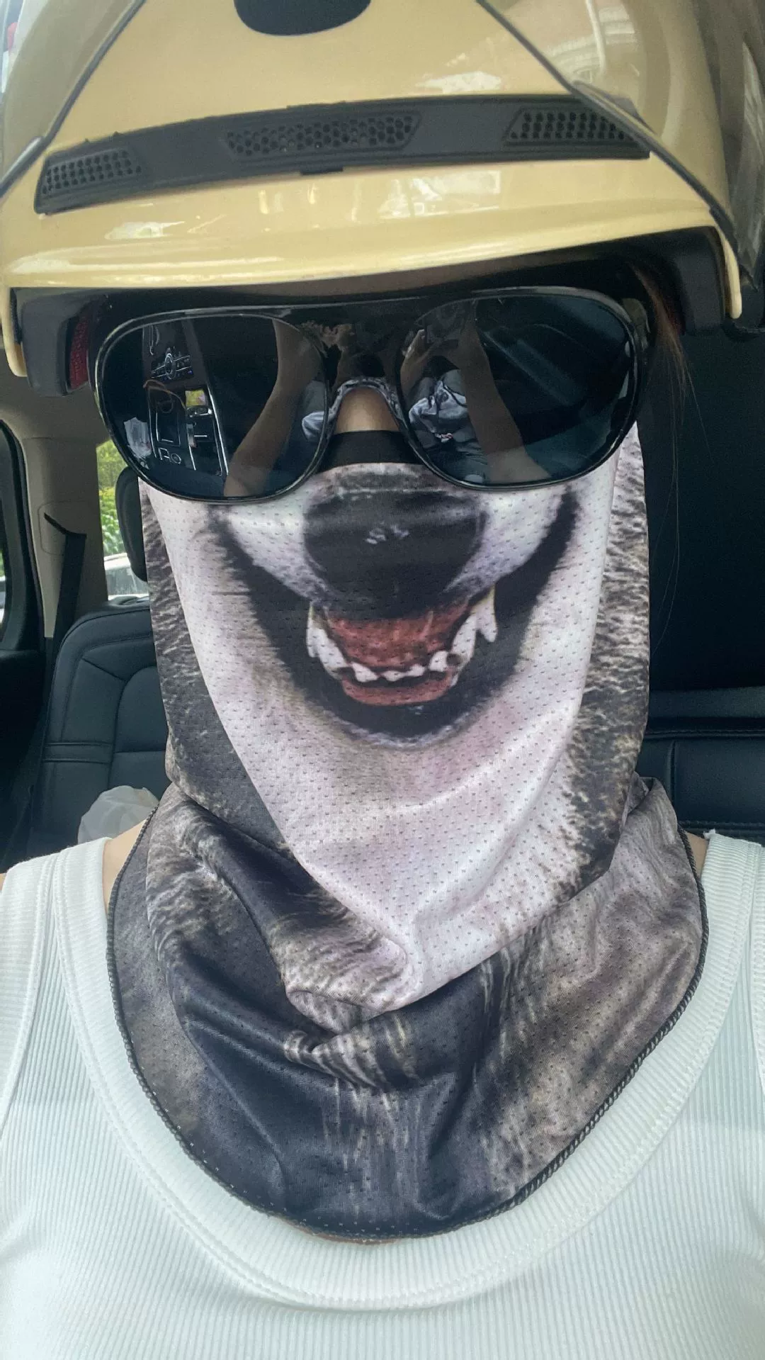 3D Cat Face Balaclava – Full Face Ski & Motorcycle Hood