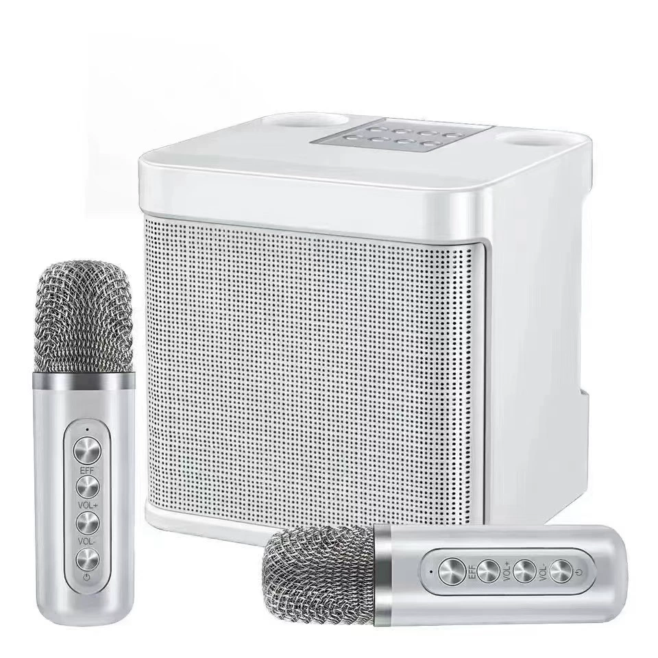 Dual Microphone Portable Karaoke Machine