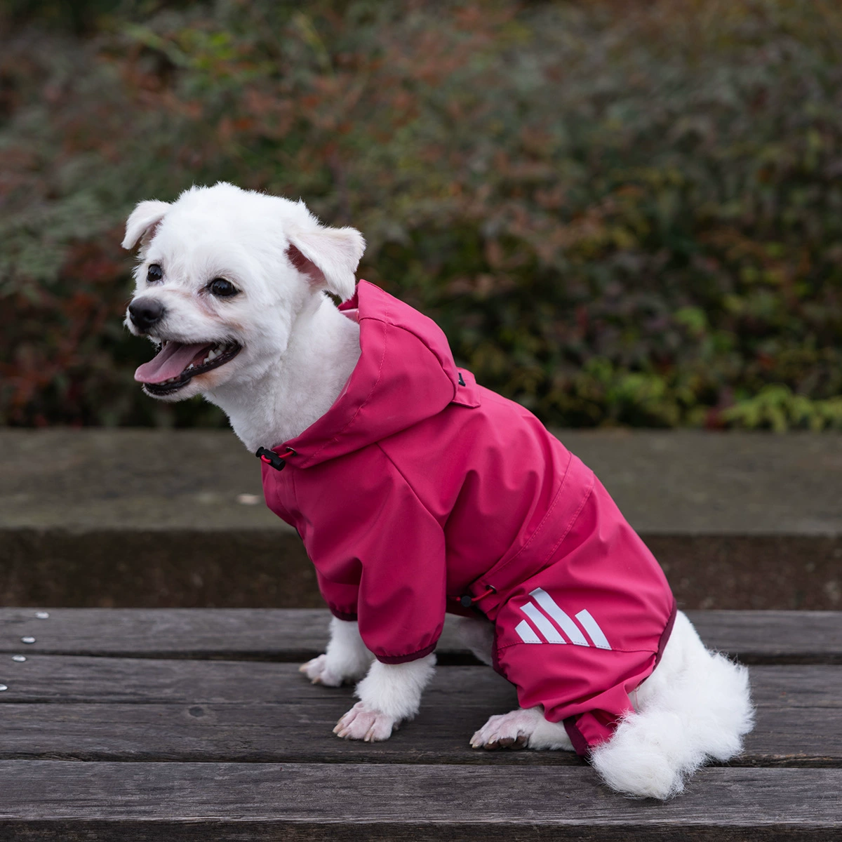 Hooded Waterproof Dog Raincoat – Adjustable Reflective Pet Jacket for Outdoor Walks