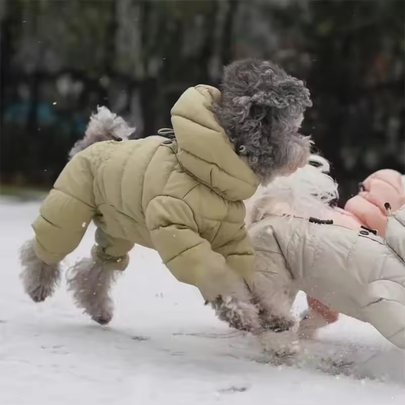 Padded Hooded Dog Snow Jacket – Warm Full-Body Winter Jumpsuit