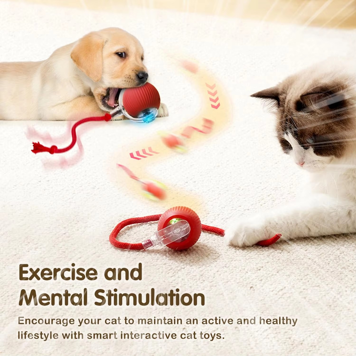 Rechargeable Automatic Cat Interactive Ball Toy