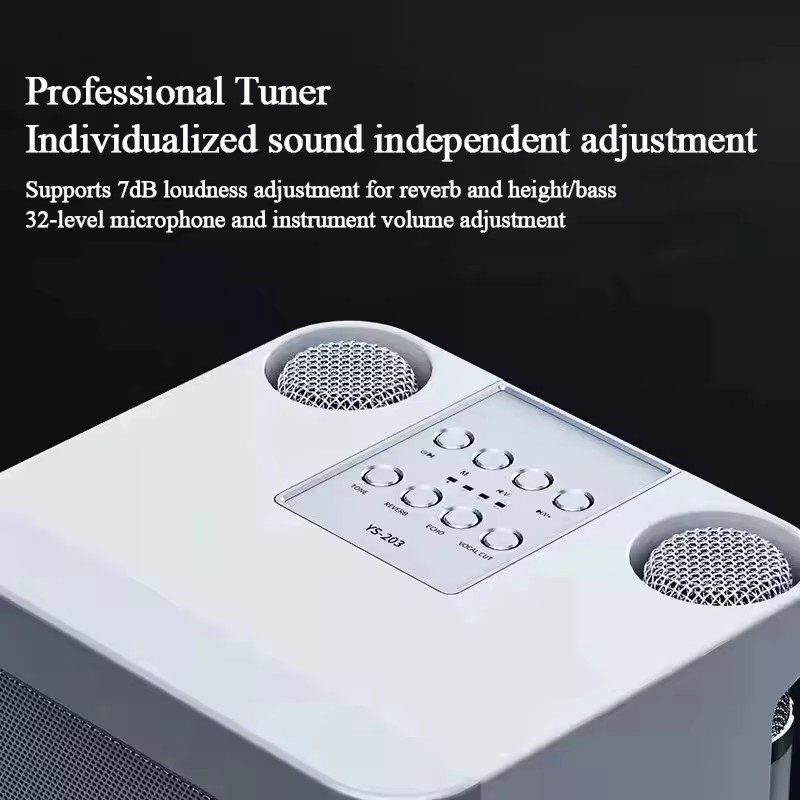 Dual Microphone Portable Karaoke Machine