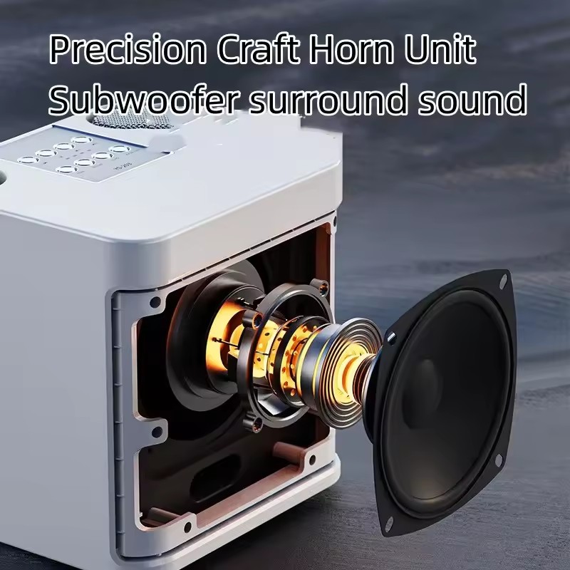 Dual Microphone Portable Karaoke Machine