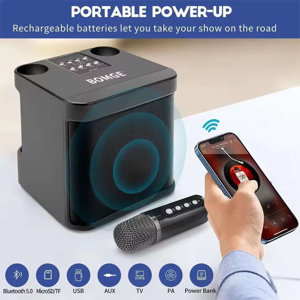 Dual Microphone Portable Karaoke Machine