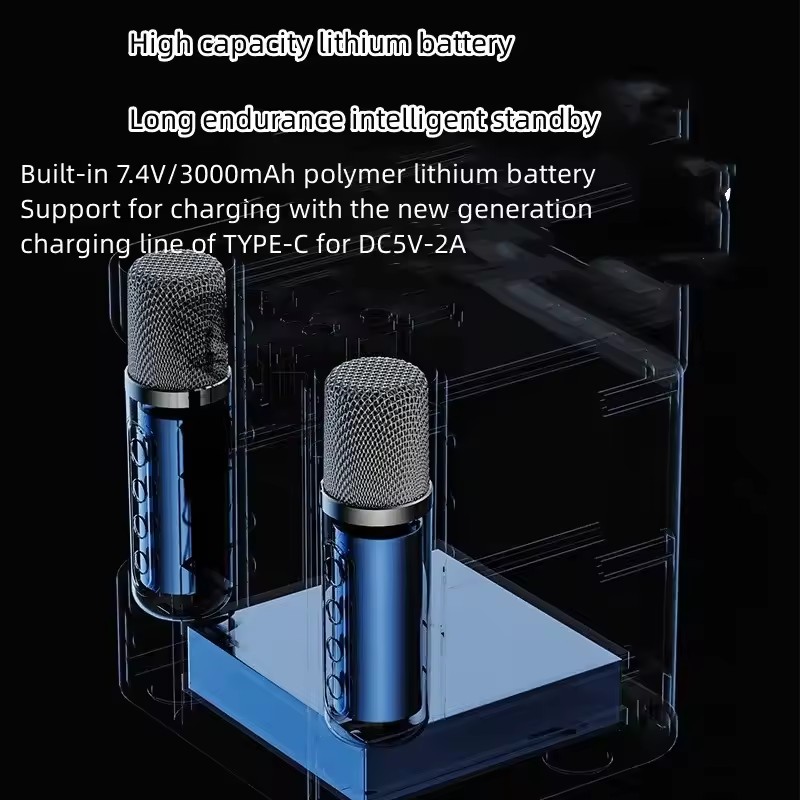 Dual Microphone Portable Karaoke Machine