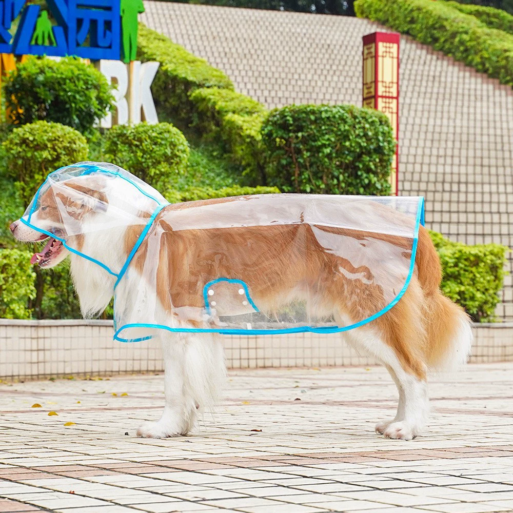Transparent Hooded Dog Raincoat